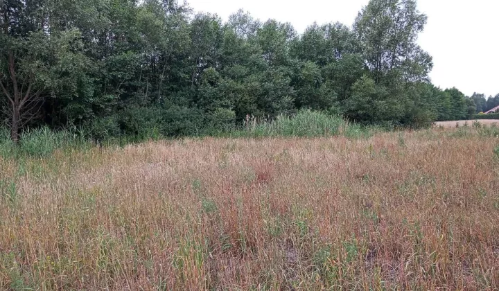 Działka budowlana Karolew