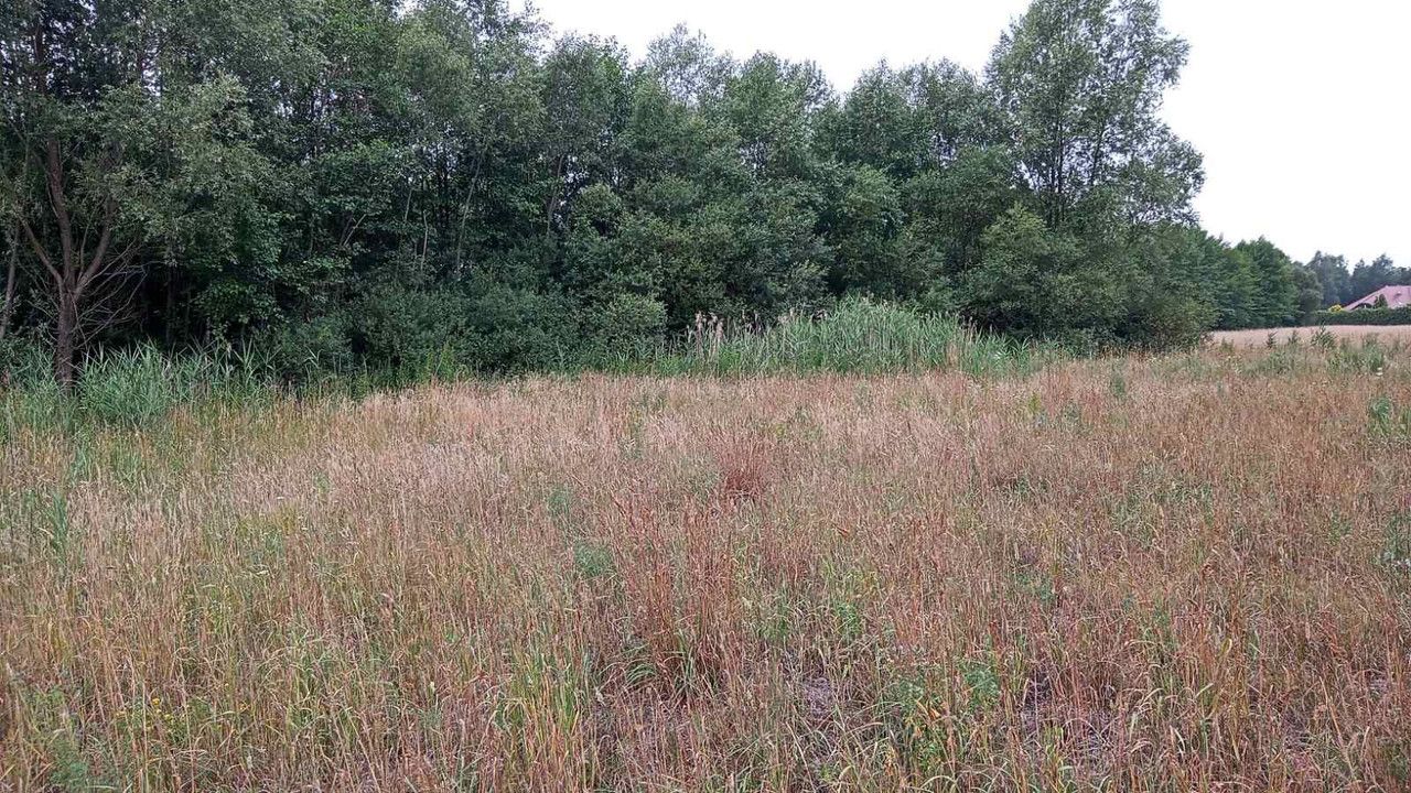 Działka budowlana Nakielnica. Zdjęcie 1