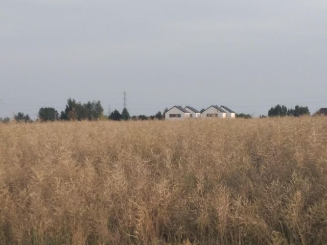 Działka budowlana Podzamcze kolonia. Zdjęcie 1