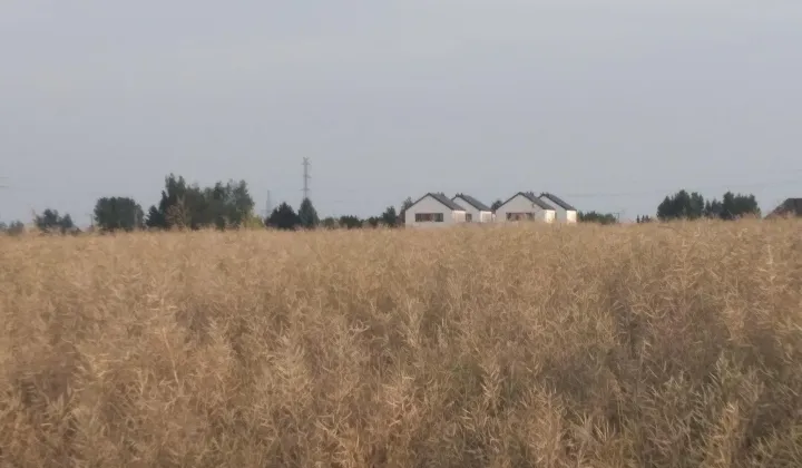 Działka budowlana Podzamcze kolonia