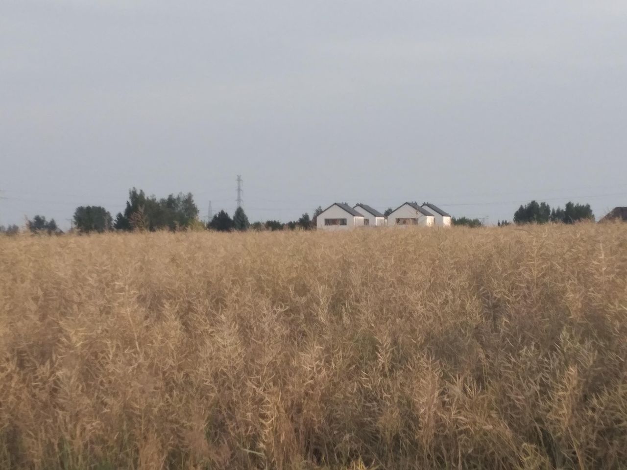 Działka budowlana Podzamcze kolonia