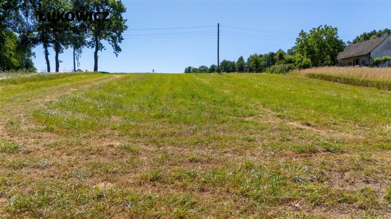 Działka budowlana Dankowice. Zdjęcie 4