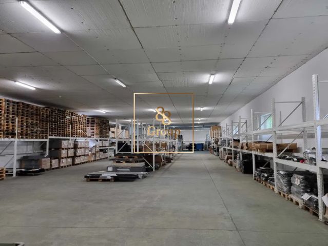 Hala/magazyn Duchnice, ul. Żytnia. Zdjęcie 3