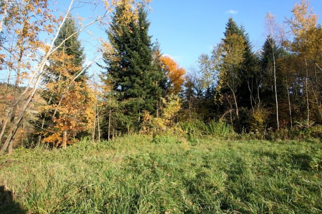 Działka rolna Siemiechów. Zdjęcie 3