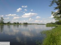 Działka rekreacyjna Rogóźno. Zdjęcie 1