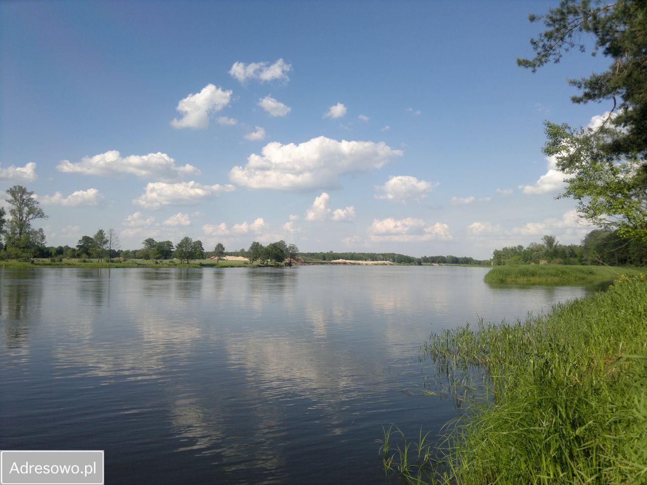 Działka rekreacyjna Rogóźno. Zdjęcie 2