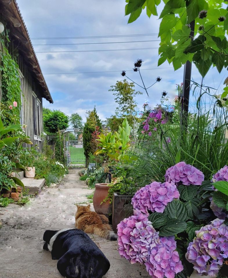 dom wolnostojący, 2 pokoje Parkoszowice, ulica. Zdjęcie 46