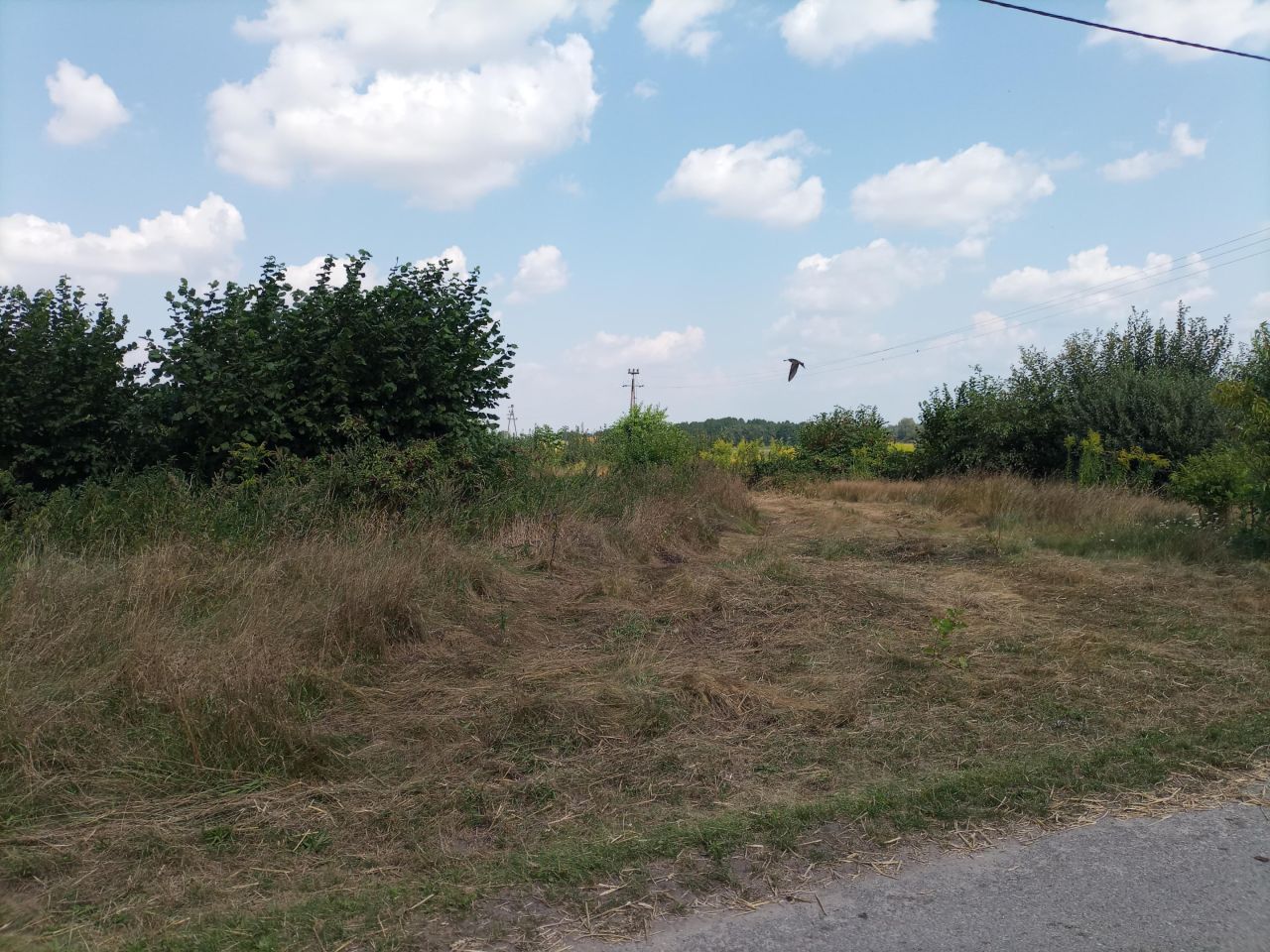 Działka budowlana Huta Drewniana. Zdjęcie 5