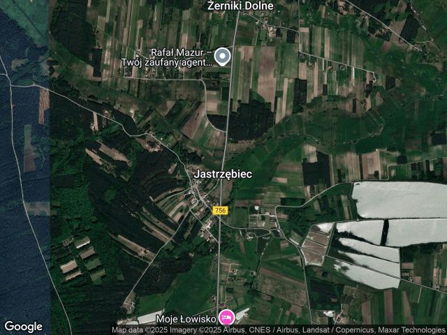 Działka leśna Jastrzębiec. Zdjęcie 1