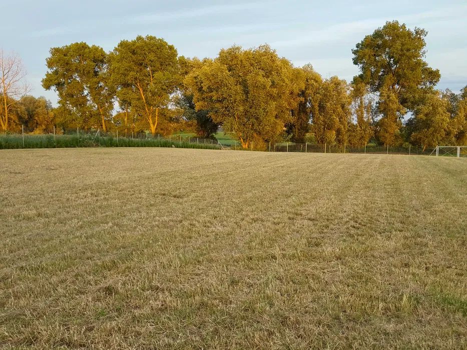 Działka budowlana Koszuty Małe. Zdjęcie 4