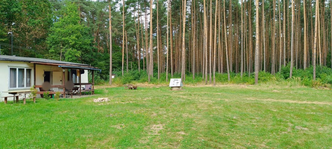 Działka rekreacyjna Budy Grabskie. Zdjęcie 8