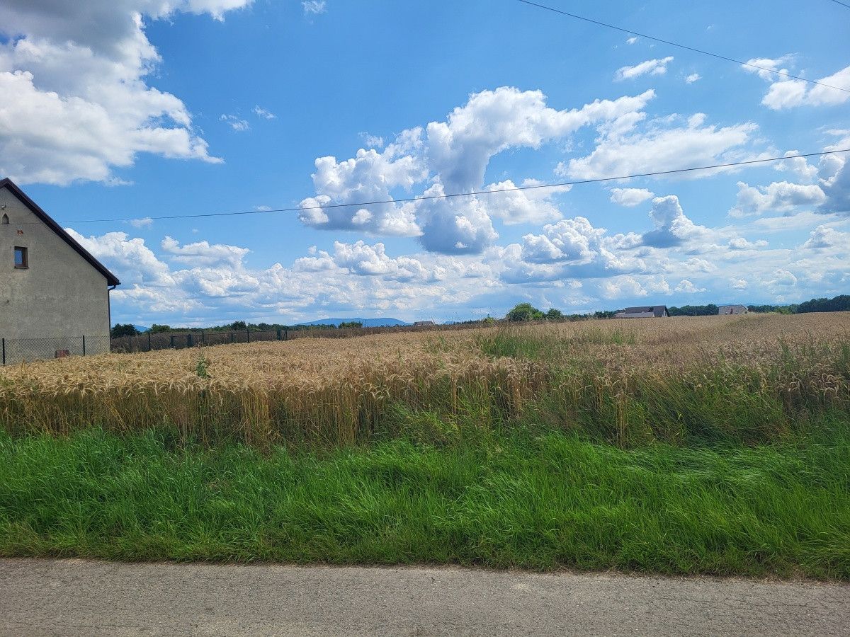 Działka budowlana Pruchna, ul. Kopanina. Zdjęcie 6