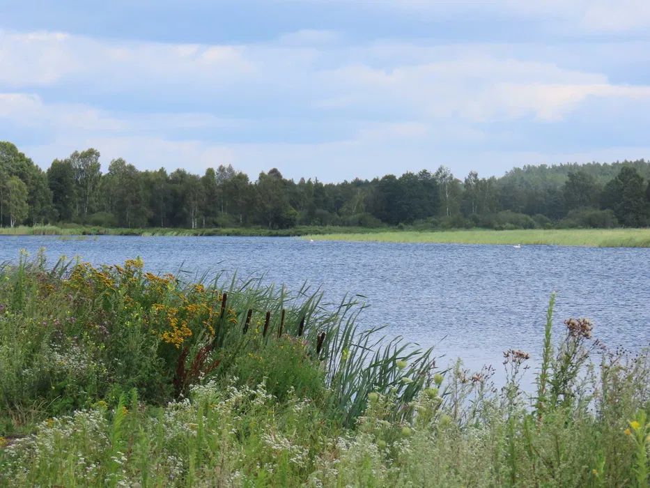 Działka rekreacyjna Kuchmy-Kuce. Zdjęcie 4