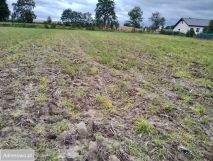 Działka rolno-budowlana Zebrzydów. Zdjęcie 1