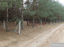 Działka budowlana Mierzwice-Kolonia. Zdjęcie 2