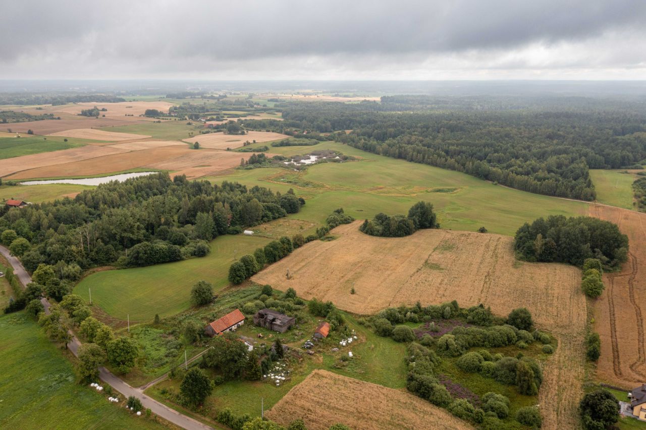 Działka rolno-budowlana Pajtuny. Zdjęcie 3