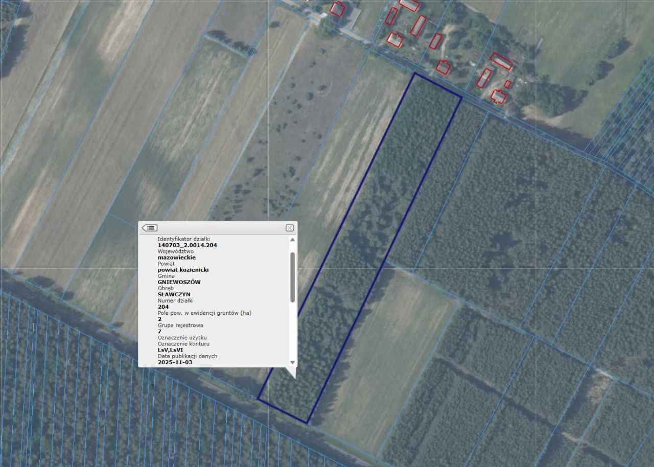 Działka leśna Sławczyn. Zdjęcie 5