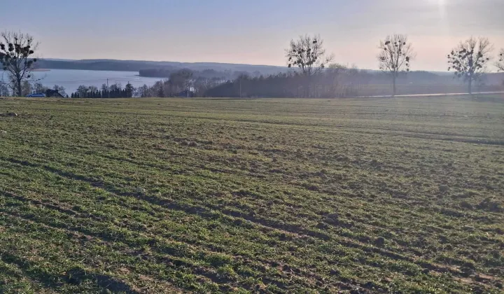 Działka rolno-budowlana Żałe