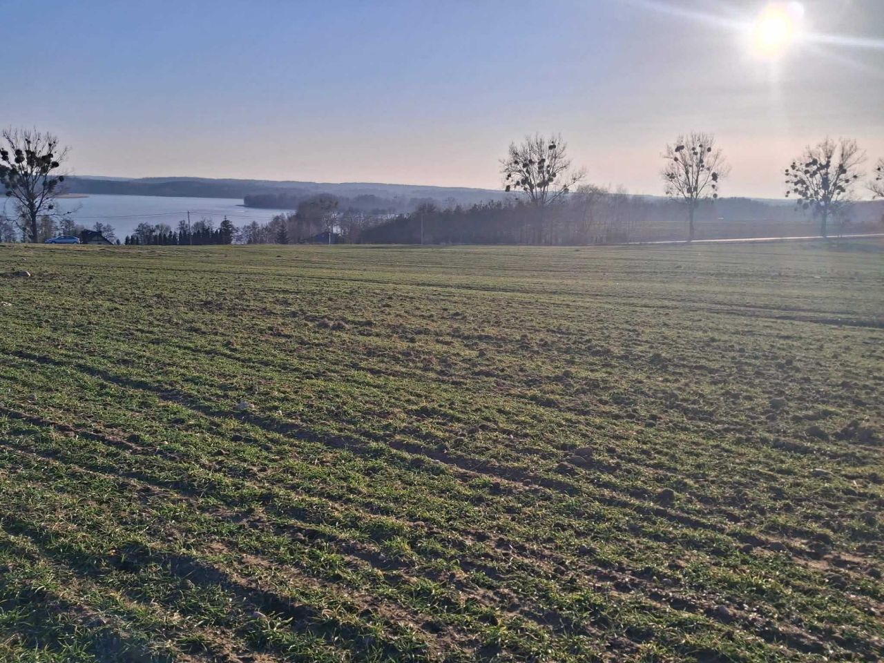 Działka rolno-budowlana Żałe. Zdjęcie 1