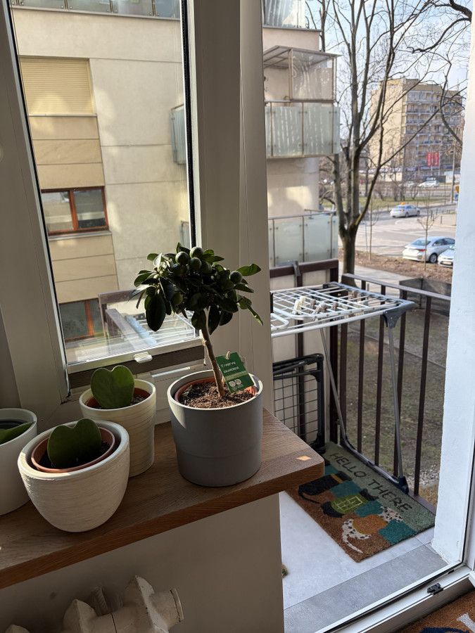 Mieszkanie 2-pokojowe Warszawa Wola, ul. Wolska. Zdjęcie 9