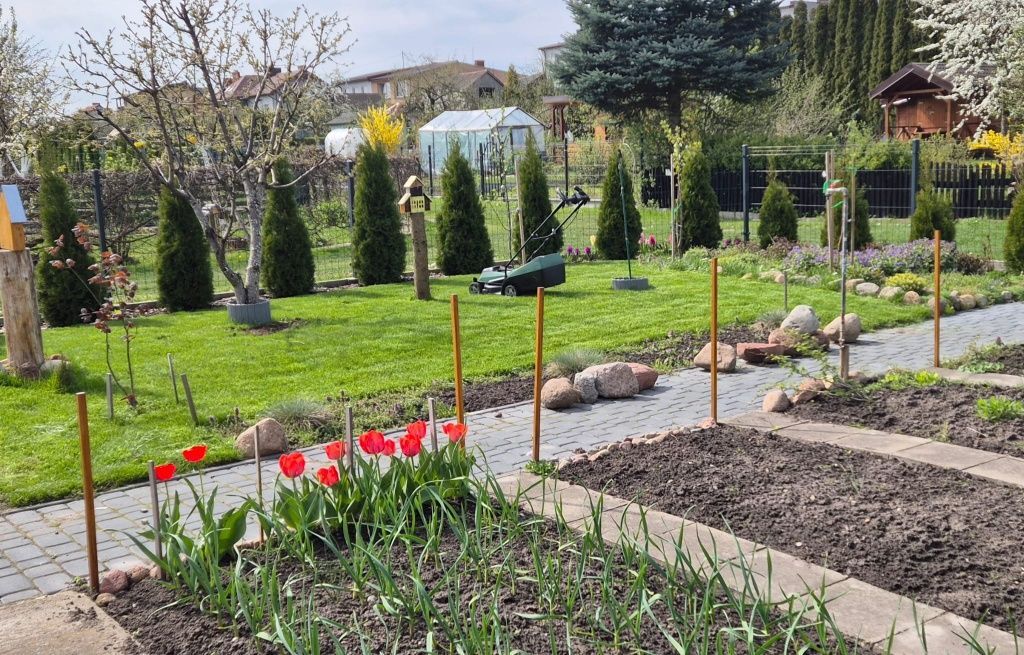 Działka rod Szczytno. Zdjęcie 3