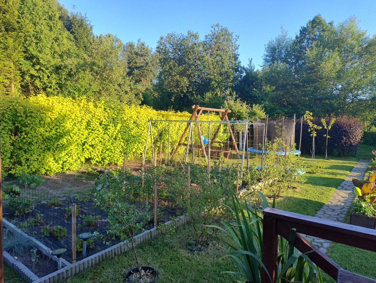 Działka rod Świdwin, ul. Łokietka. Zdjęcie 4