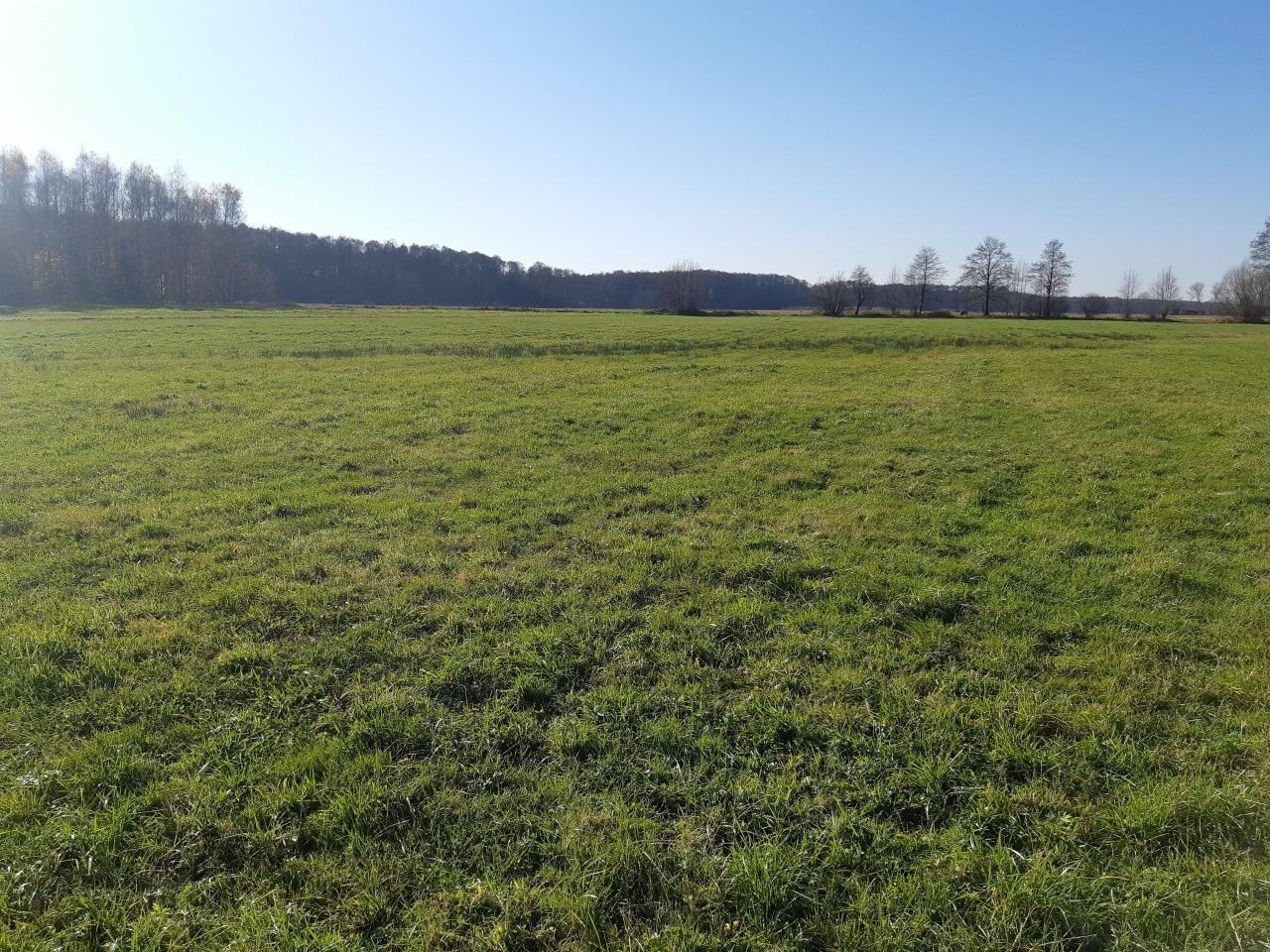 Działka rolno-budowlana Prostyń. Zdjęcie 2