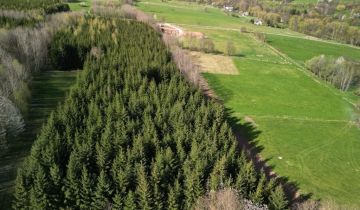 Działka rolno-budowlana Sokolica