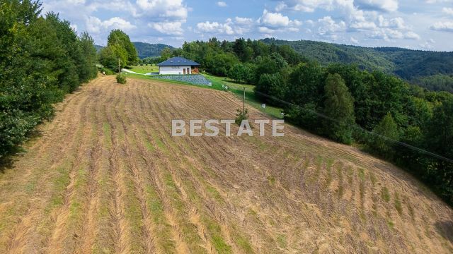 Działka budowlana Paleśnica. Zdjęcie 1