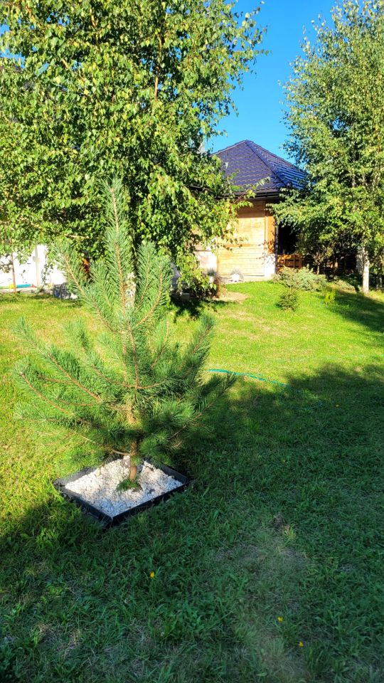 dom wolnostojący, 5 pokoi Smugi. Zdjęcie 40