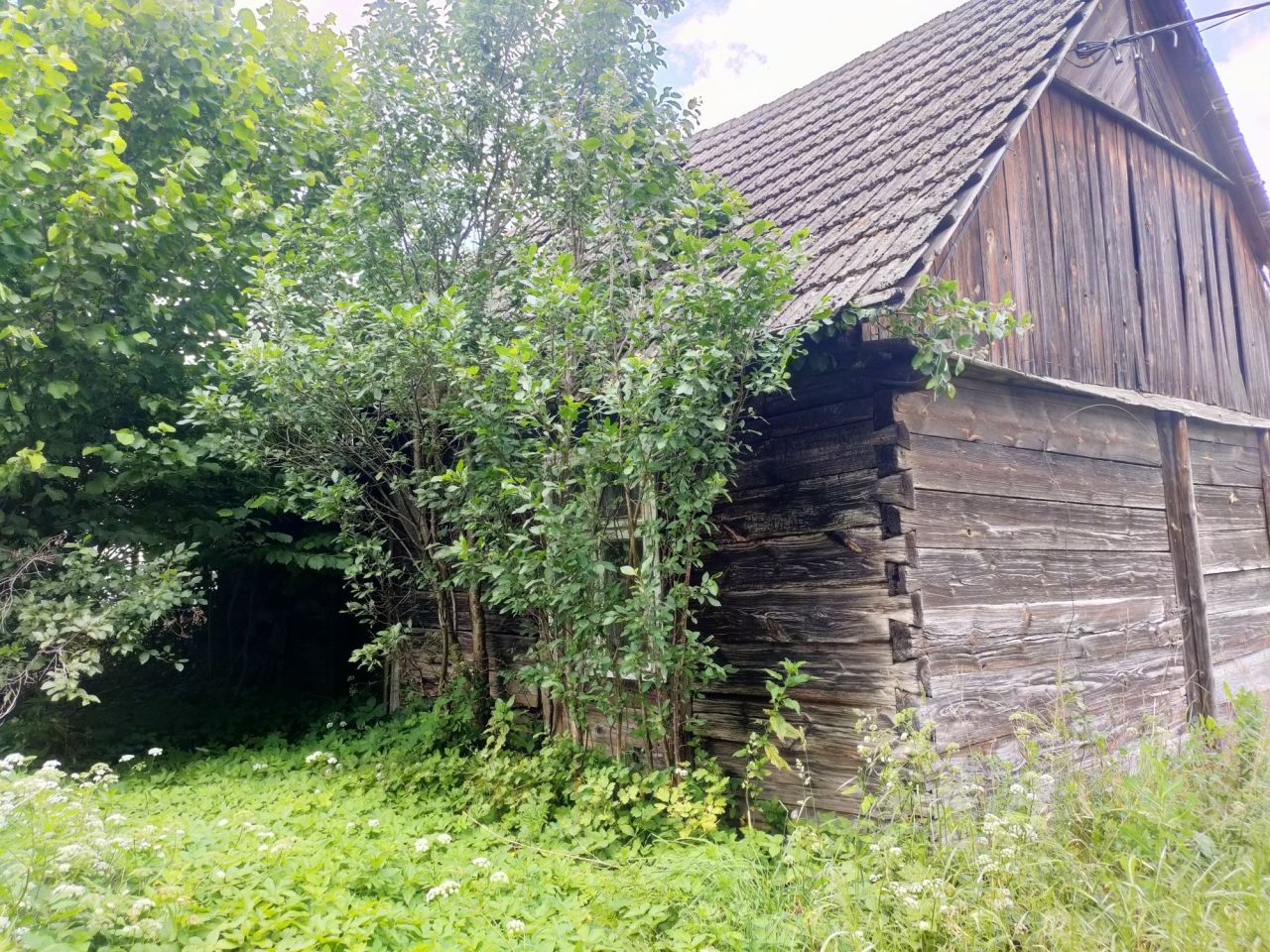 Działka rolno-budowlana Łęki Duże. Zdjęcie 7