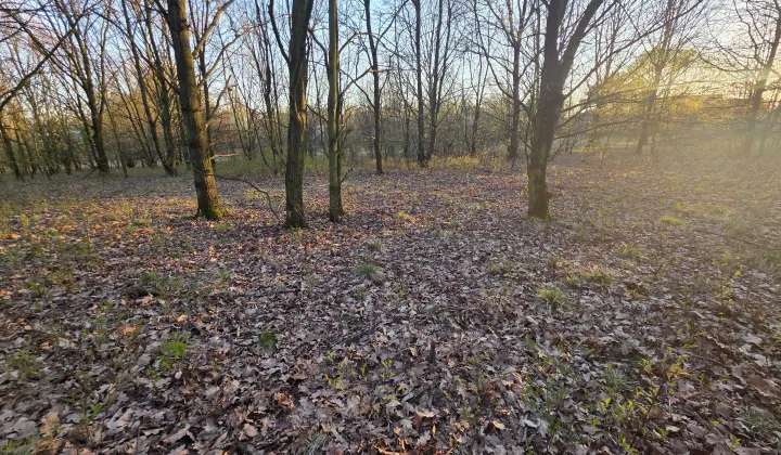 Działka budowlana Ruda Śląska Bielszowice, ul. Stanisława Nabzdyka
