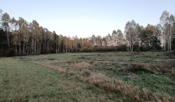 Działka budowlana Radoszyce Budki, ul. Kielecka