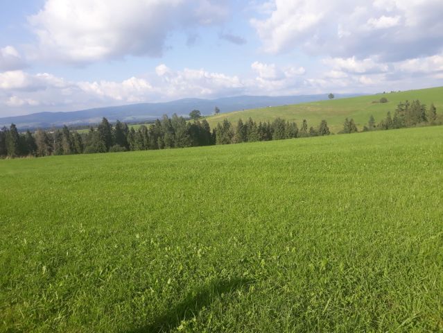 Działka budowlana Leśnica. Zdjęcie 1