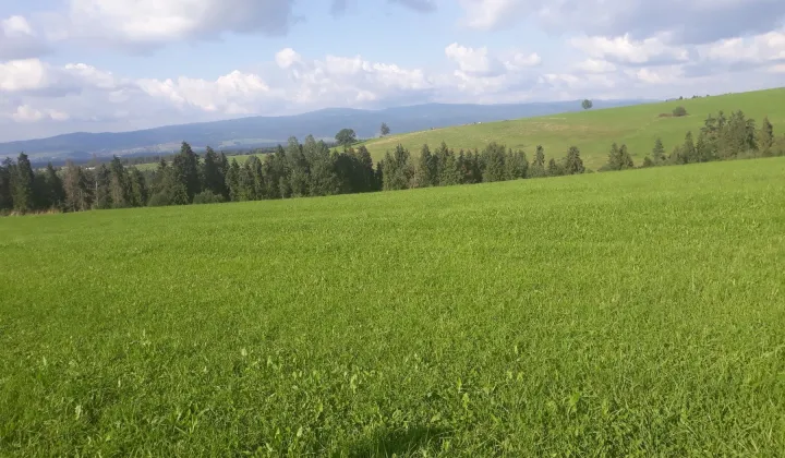 Działka budowlana Leśnica