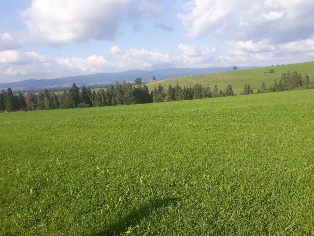 Działka budowlana Leśnica