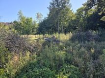 Działka budowlana Wolbromek. Zdjęcie 3