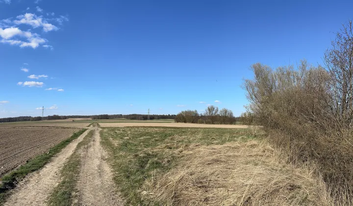 Działka rolna Chmielno