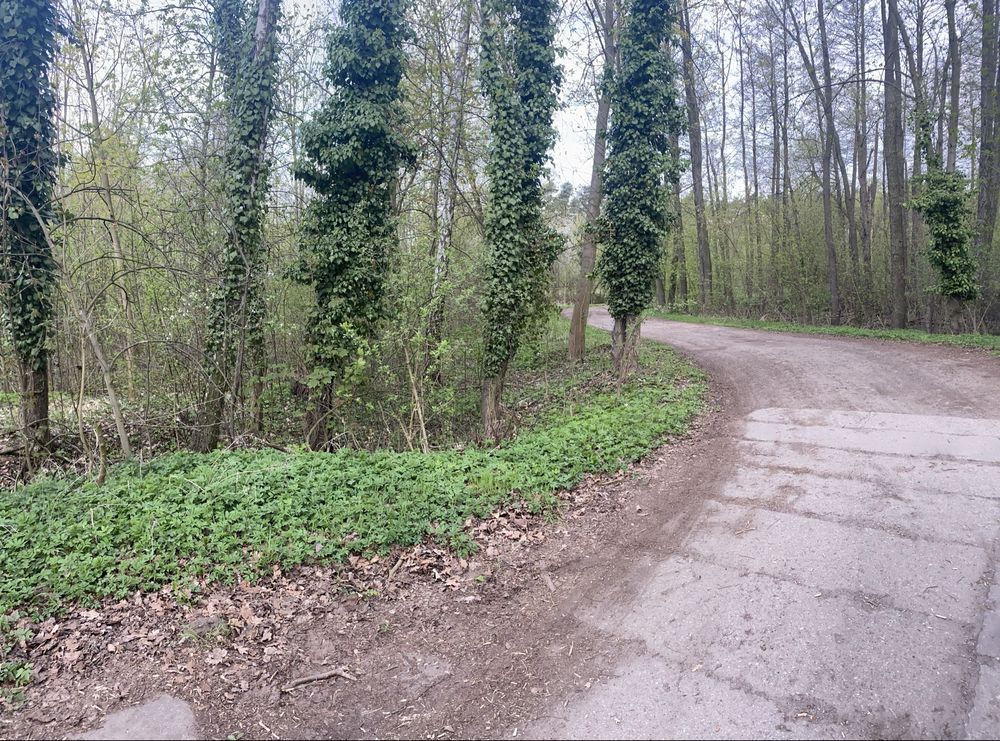 dom wolnostojący Września. Zdjęcie 7