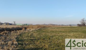 Działka rolno-budowlana Cholewy