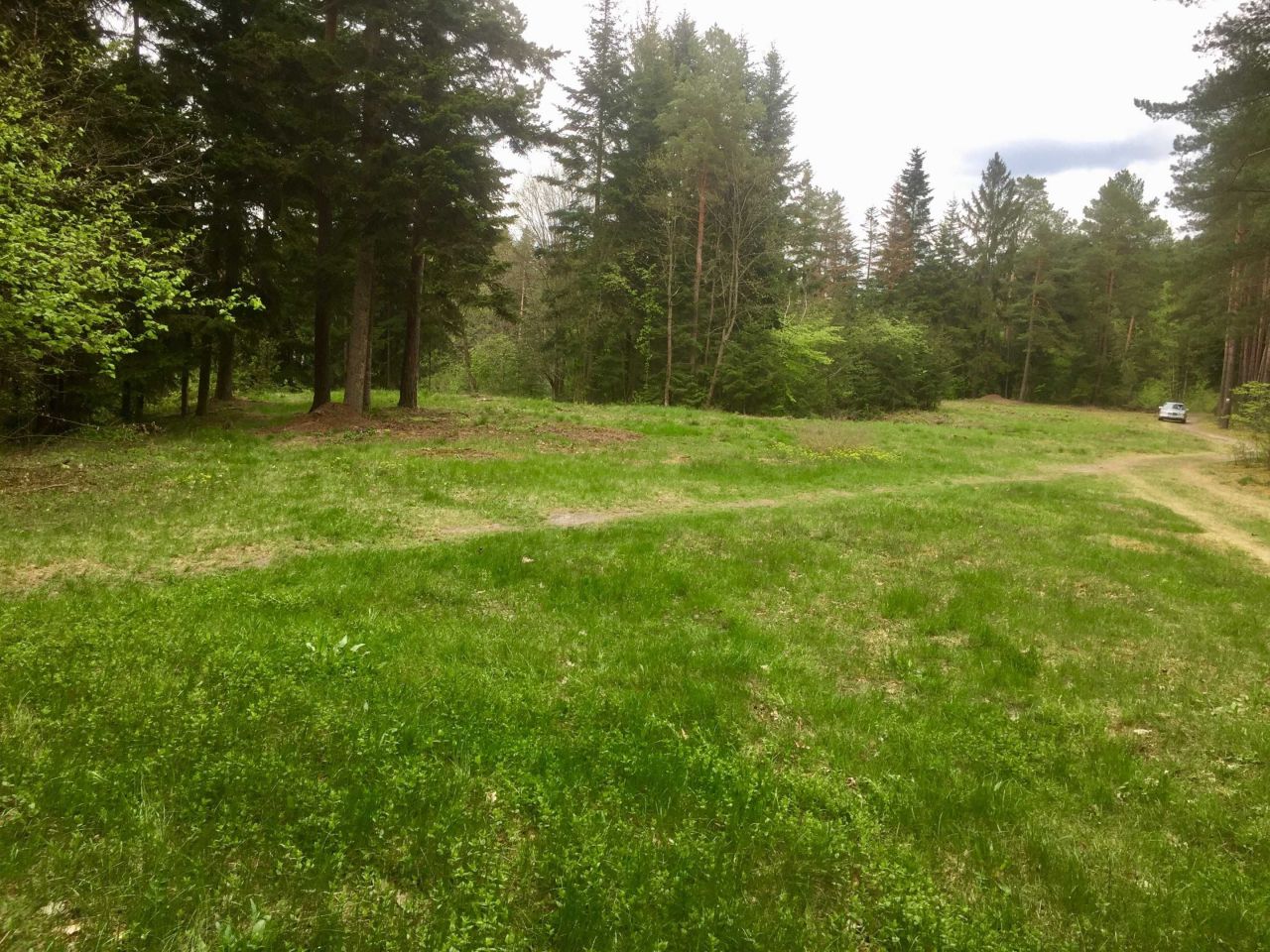 Działka rekreacyjna Górecko Kościelne. Zdjęcie 6