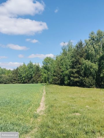 Działka budowlana Iłówiec. Zdjęcie 1