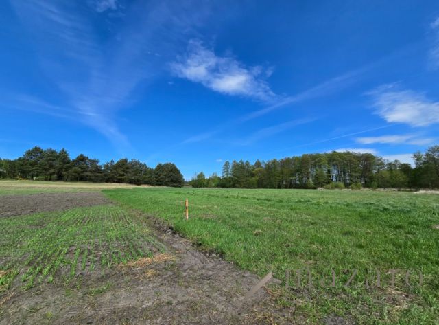 Działka rolna Drogosław. Zdjęcie 3