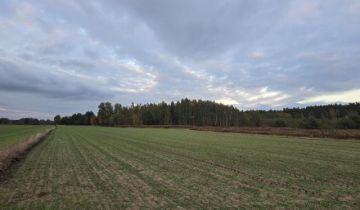 Działka rolno-budowlana Krzywica