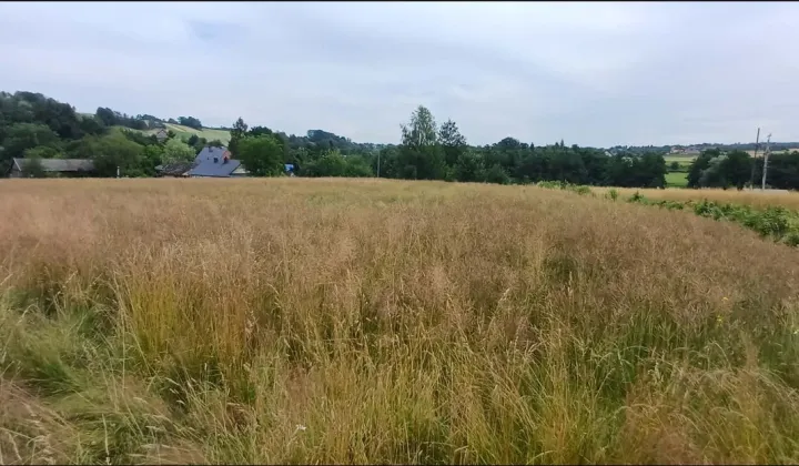 Działka budowlana Szynwałd