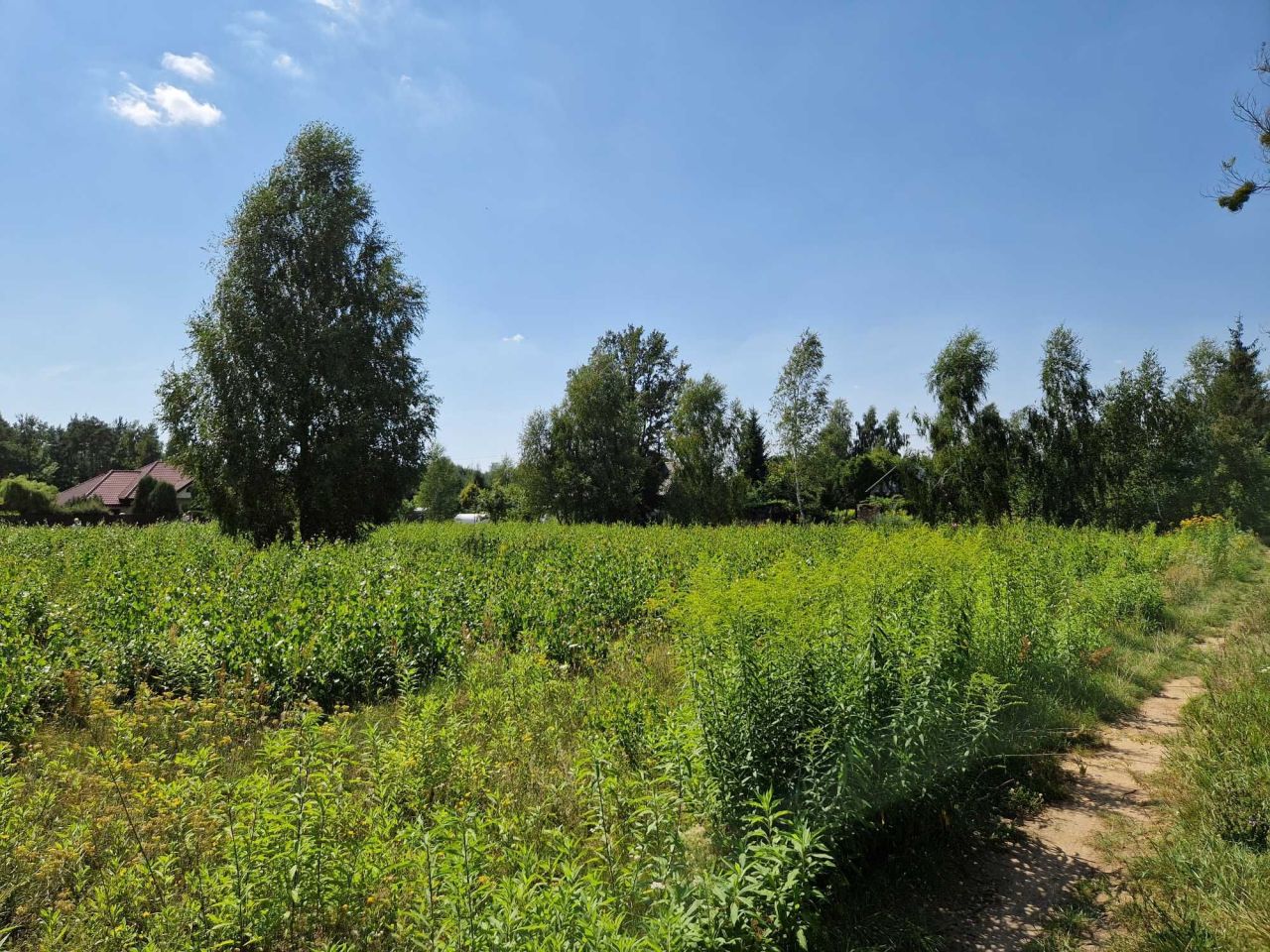 Działka budowlana Błędowo, ul. Słowiańska. Zdjęcie 5