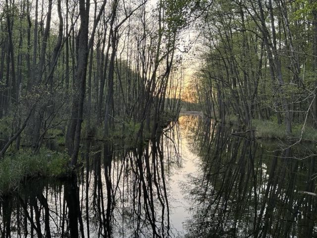 Działka budowlana Poznań Strzeszyn. Zdjęcie 2