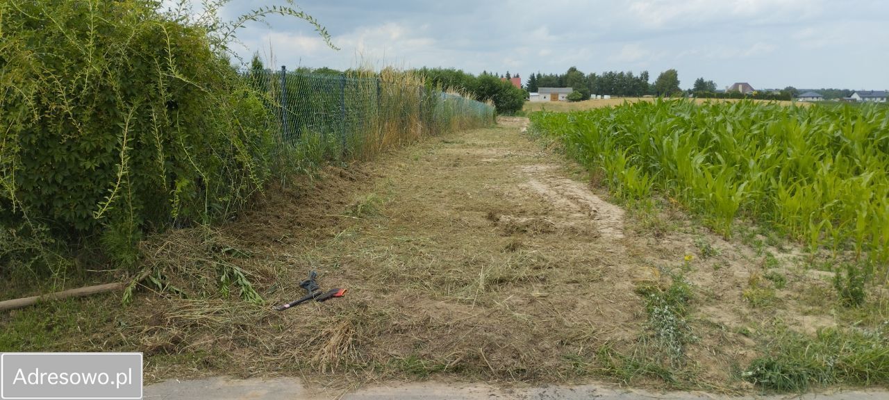 Działka rolno-budowlana Moszna. Zdjęcie 3