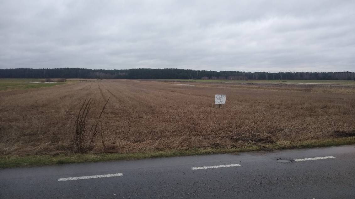 Działka budowlana Turze Rogi, ul. Nowa Droga. Zdjęcie 5