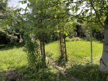 Działka rod Rzeszów Zalesie. Zdjęcie 1